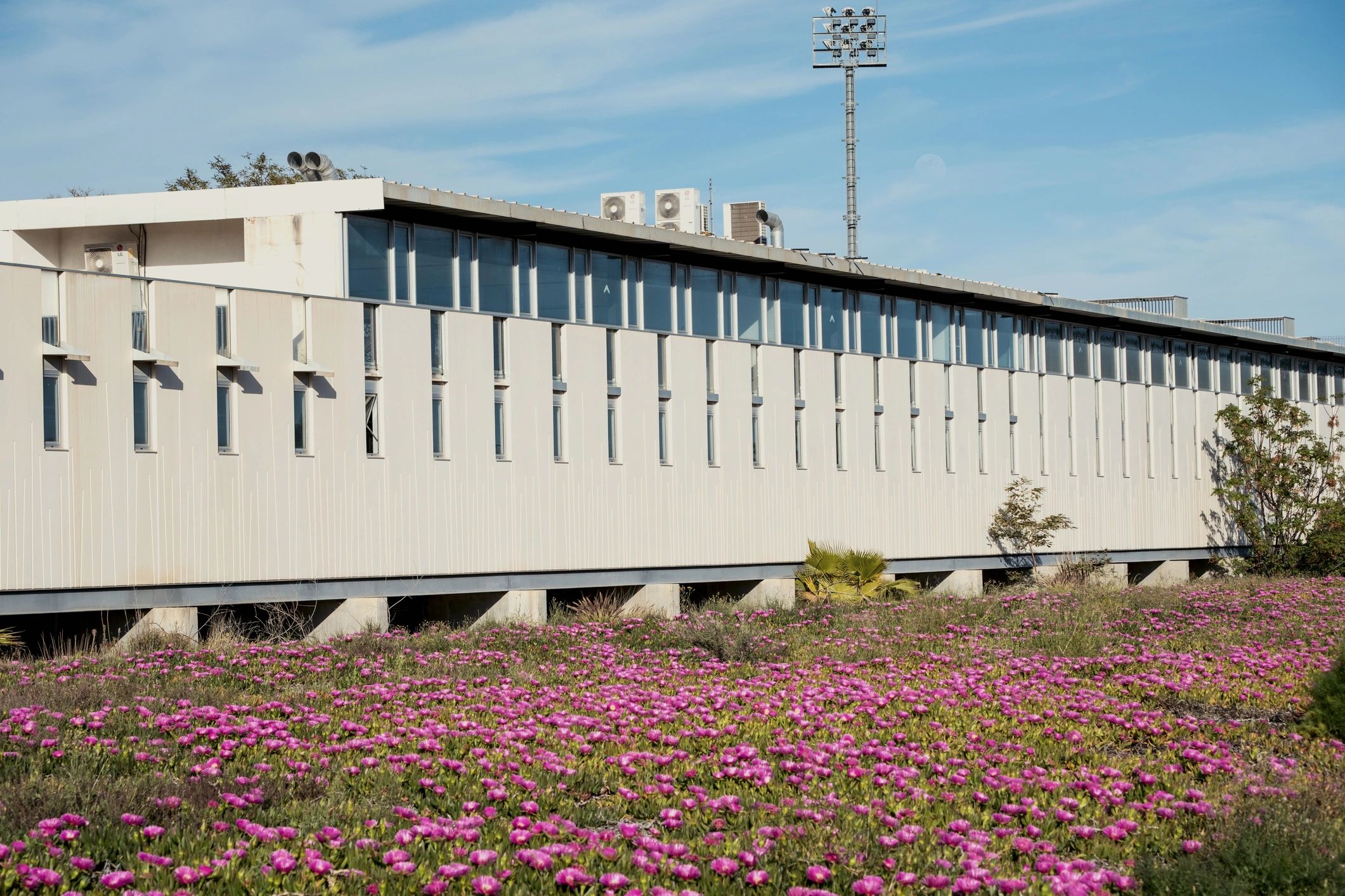 Modern institutional building exterior
